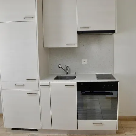 San Carlo Luxury شقة لوغانو